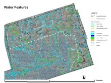 Town of Markham Small Stream Study