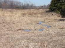 Town of Markham Small Stream Study