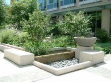 Central Library Rotary Reading Garden