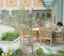 Central Library Rotary Reading Garden