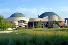 Urban Prairie | Transformation of the Plaza from Hardscape to Grassland