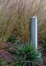 Urban Prairie | Transformation of the Plaza from Hardscape to Grassland