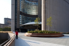 Nathan Phillips Square Podium Green Roof Garden