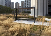 Nathan Phillips Square Podium Green Roof Garden