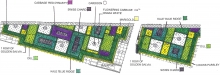 The Edible Landscape - Urban Sustainability