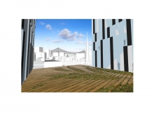 University of Montreal Hospital Centre – CHUM