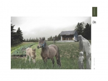 O'Brien Farm Master Plan