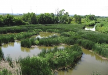 East Hamilton Recreational Trail Hub and Waterfront Link