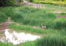 East Hamilton Recreational Trail Hub and Waterfront Link