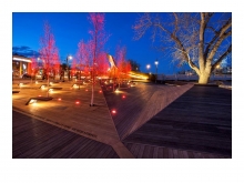 The Landscape of Memory: POPPY PLAZA