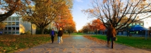 Pedestrian Campus 