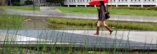 Pedestrian Campus 