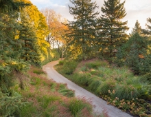 The new planting was strategic in order to fill in areas that had been eroded due to adjacent construction. The formal entry side of the house can be seen in the distance.