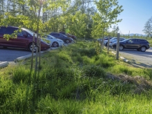 Rainwater is managed onsite entirely with sustainable site strategies.