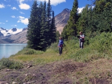 The team was hired to complete a park wide trail  and campground inventory, with Grizzly Bear hazard assessment.