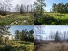 Shelter adjacent to the created wetland. Photo illustrates the change throughout the seasons.