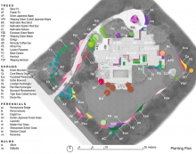 PLANTING PLAN. The new strategic infill planting of trees and perennials reinforces the spatial diversity and layering in the urban boundary garden set in a forested base.