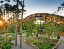The new Visitor Centre was the result of a close collaboration with the architects in order to establish a strong link with the site in terms of access and reach, as well as program.