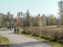 Site circulation was carefully designed to guide visitors through a series of site experiences.