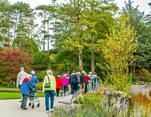 The scope in the landsape architecture included new walkways as well as opportunities to cross the water channel and rest on furnishings that are barrier-free.