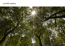 Presentation publique PD La Fontaine mars 2018