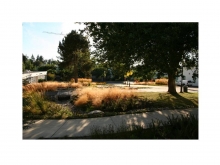 UBC Sustainability Street