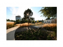 UBC Sustainability Street