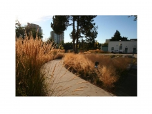 UBC Sustainability Street