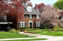 PANDORA NEIGHBOURHOOD