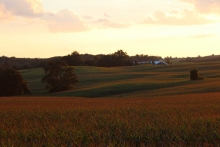 AGRICULTURE AT URBAN FRINGE