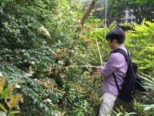 Positive results of an increase of biodiversity index of plant species