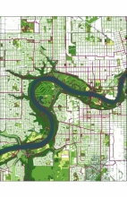 The Ecology network assessment highlights which open spaces provide the greatest contribution to the urban ecosystem.