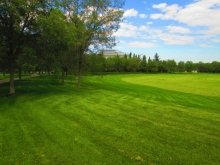 Existing high quality of typical high input intensively managed landscape conditions.