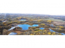 Parkland County Environmental Conservation Master Plan 