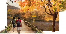Lower Don Trail Access, Environment and Art Master Plan