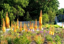 MacEwan Terrace Garden at Riverwood