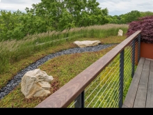 The building disappears behind a natural green parapet creating an infinity edge to the tall mature oaks beyond – a true example of a borrowed landscape.