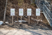 All actions in ravines should be guided by the overarching principle of Protect.