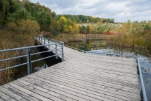 Leverage planned capital investments to restore native vegetation, remove invasive species.