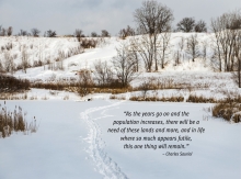 Realization of Toronto's Ravine Strategy will have profound implications for the future of the city.