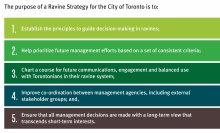 Purpose of the Ravine Strategy