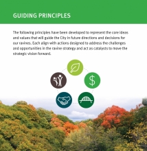 The Ravine Strategy was developed around five guiding principles - Protect, Invest, Connect, Partner and Celebrate.