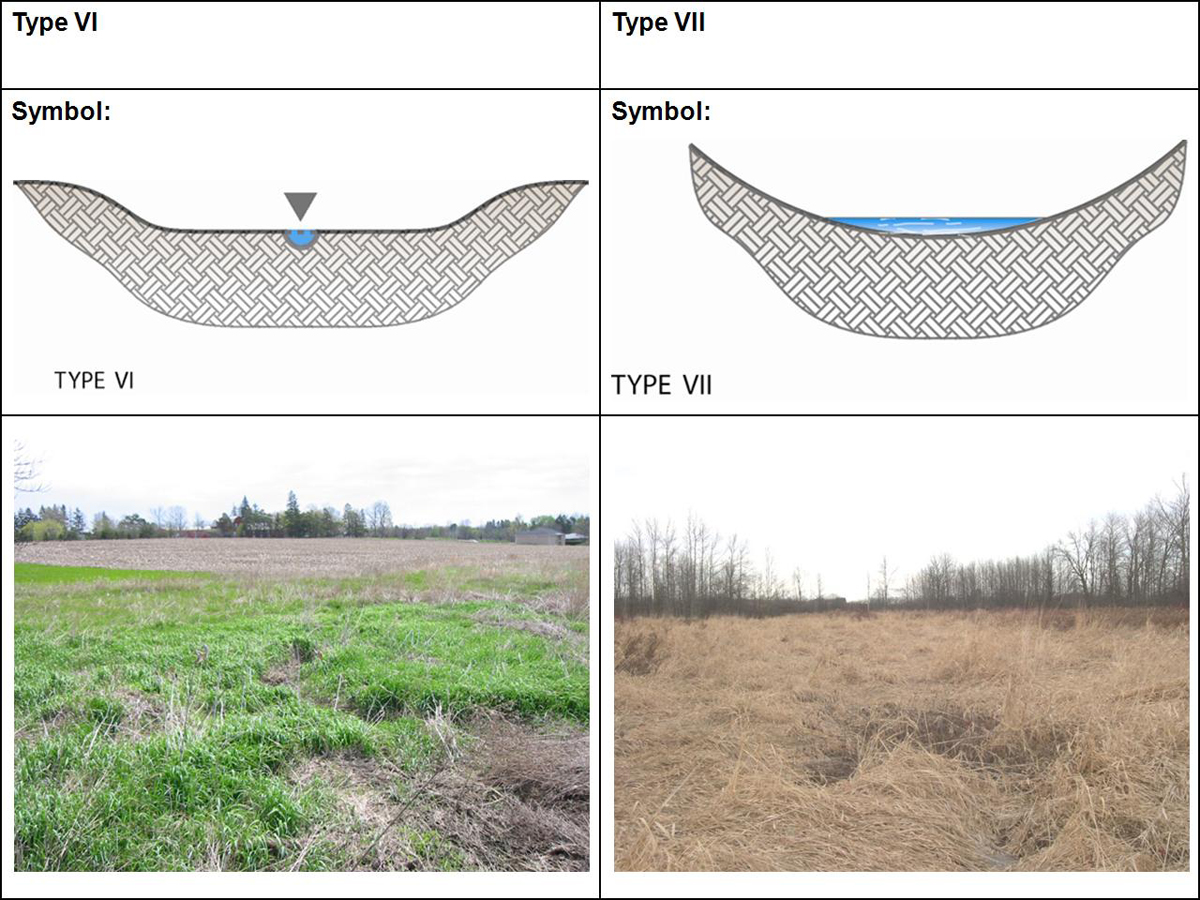 Town of Markham Small Stream Study | CSLA