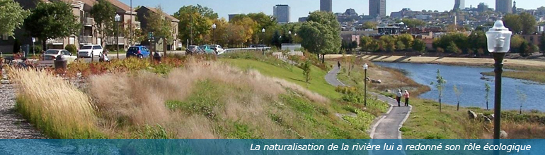 Naturalisation De La Riviere Saint Charles Phase 3b Et Passerelles Csla